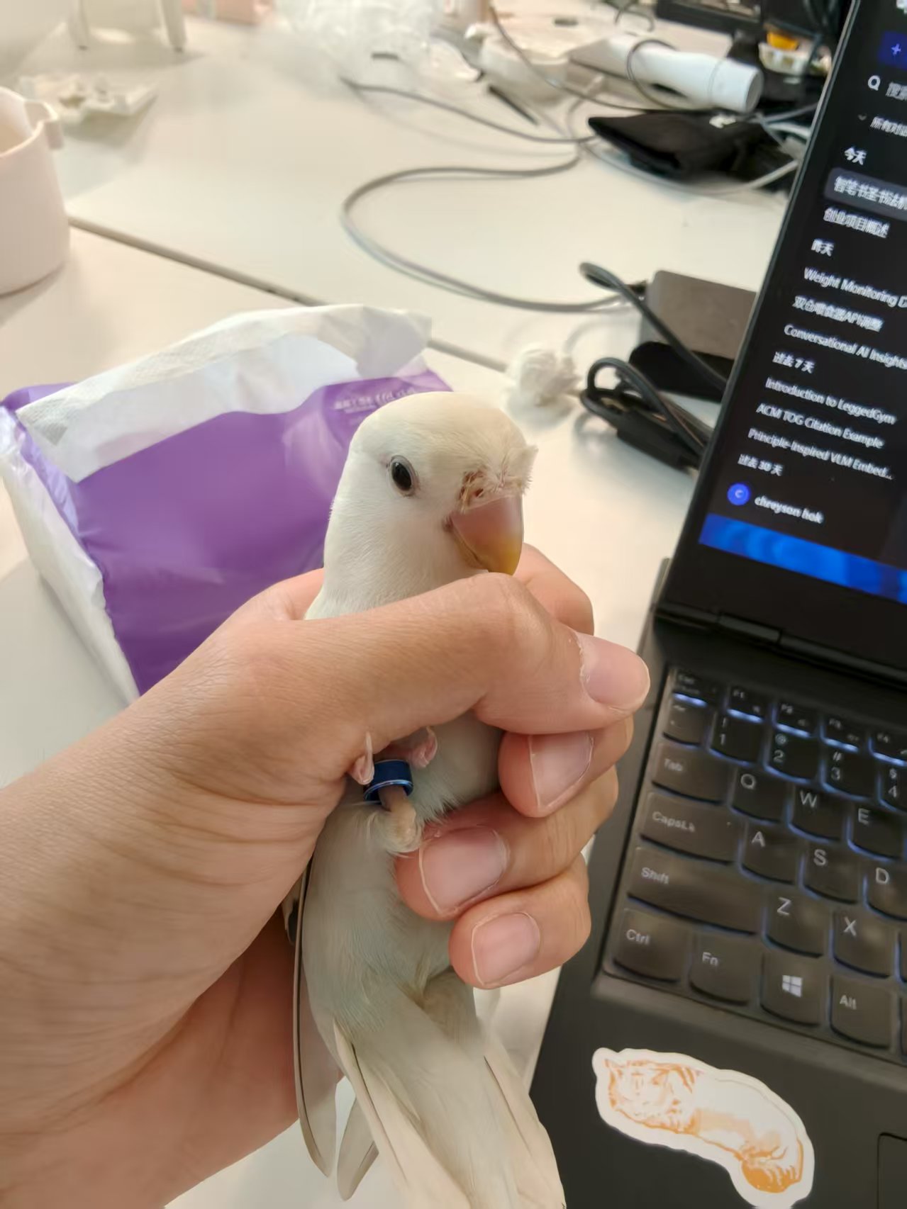工作伙伴